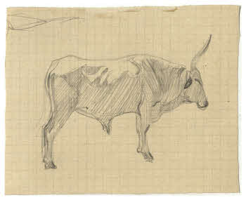 Visualizza l'immagine "FD D 368"